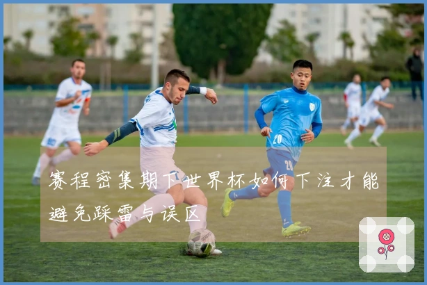 赛程密集期下世界杯如何下注才能避免踩雷与误区