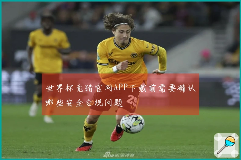 世界杯竞猜官网APP下载前需要确认哪些安全合规问题