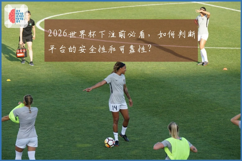 2026世界杯下注前必看，如何判断平台的安全性和可靠性？