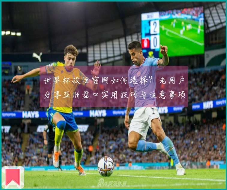 世界杯投注官网如何选择？老用户分享亚洲盘口实用技巧与注意事项