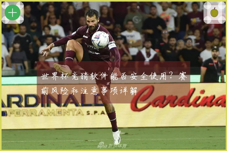世界杯竞猜软件能否安全使用？赛前风险和注意事项详解